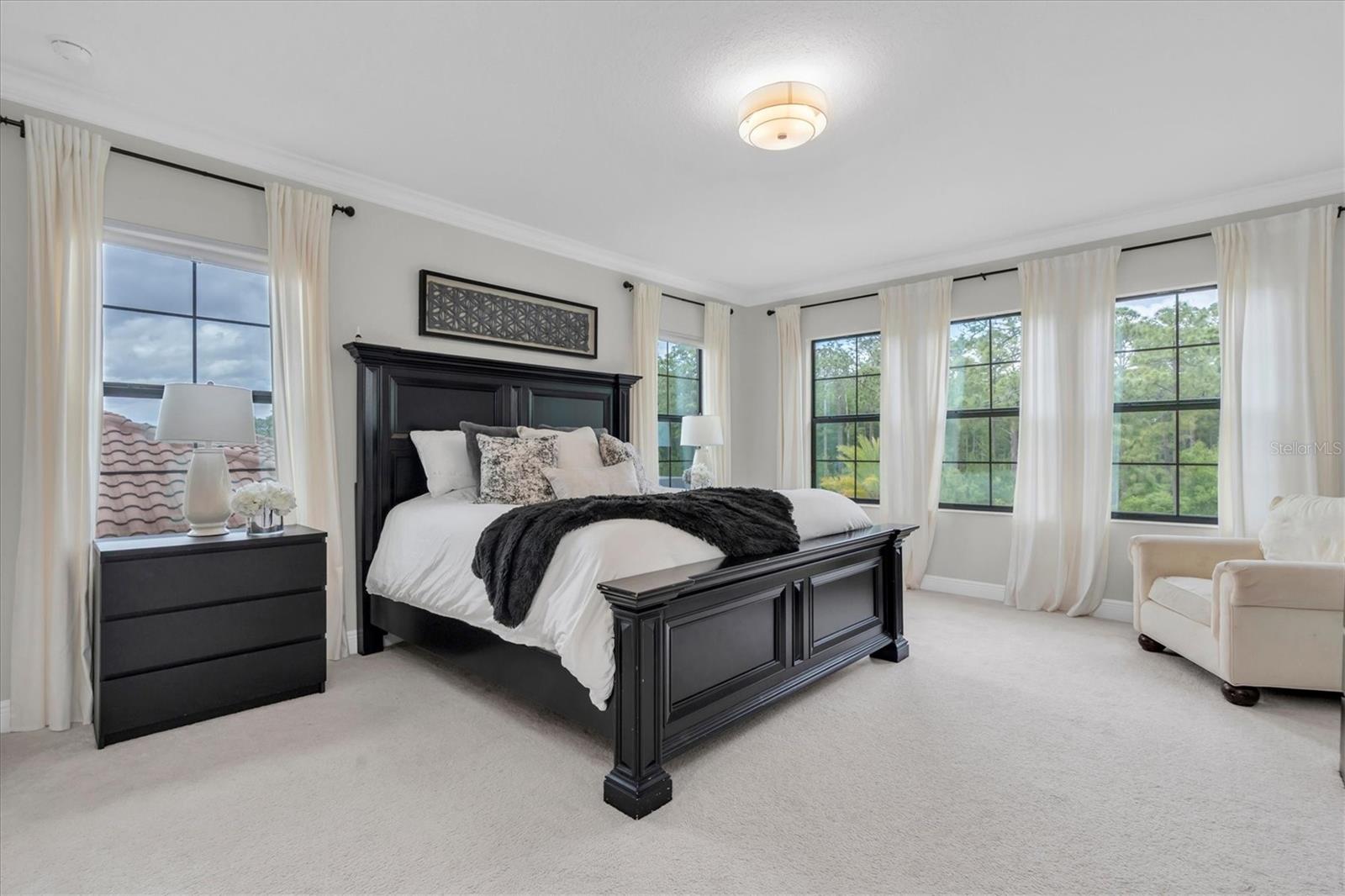 Image 26 of 72 For 5042 Night Star Trail