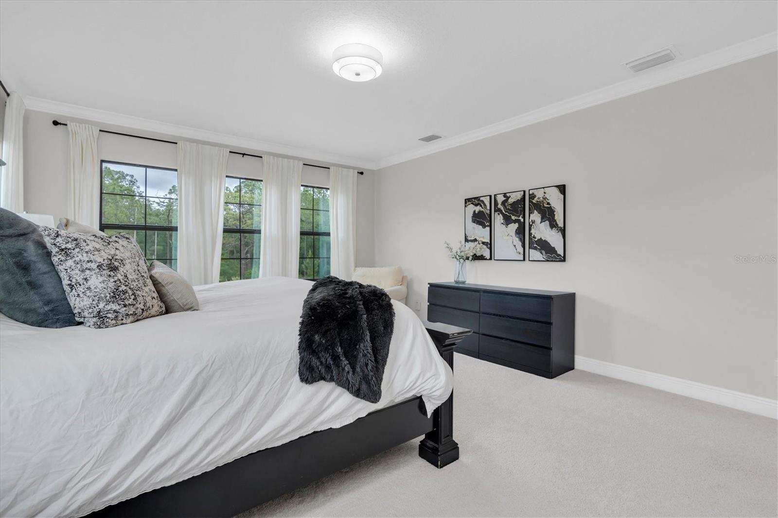 Image 28 of 72 For 5042 Night Star Trail