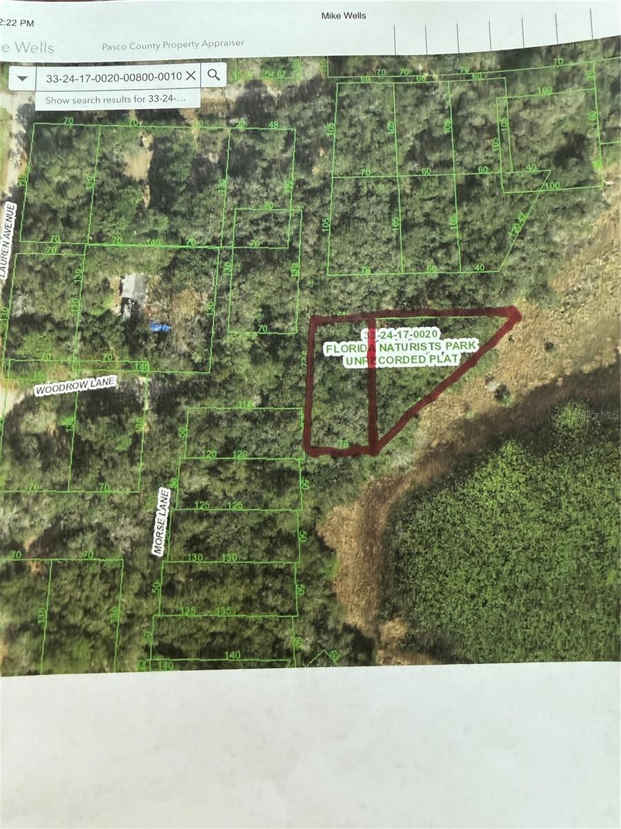 Listing Details for 12236 Woodrow Lane, HUDSON, FL 34669