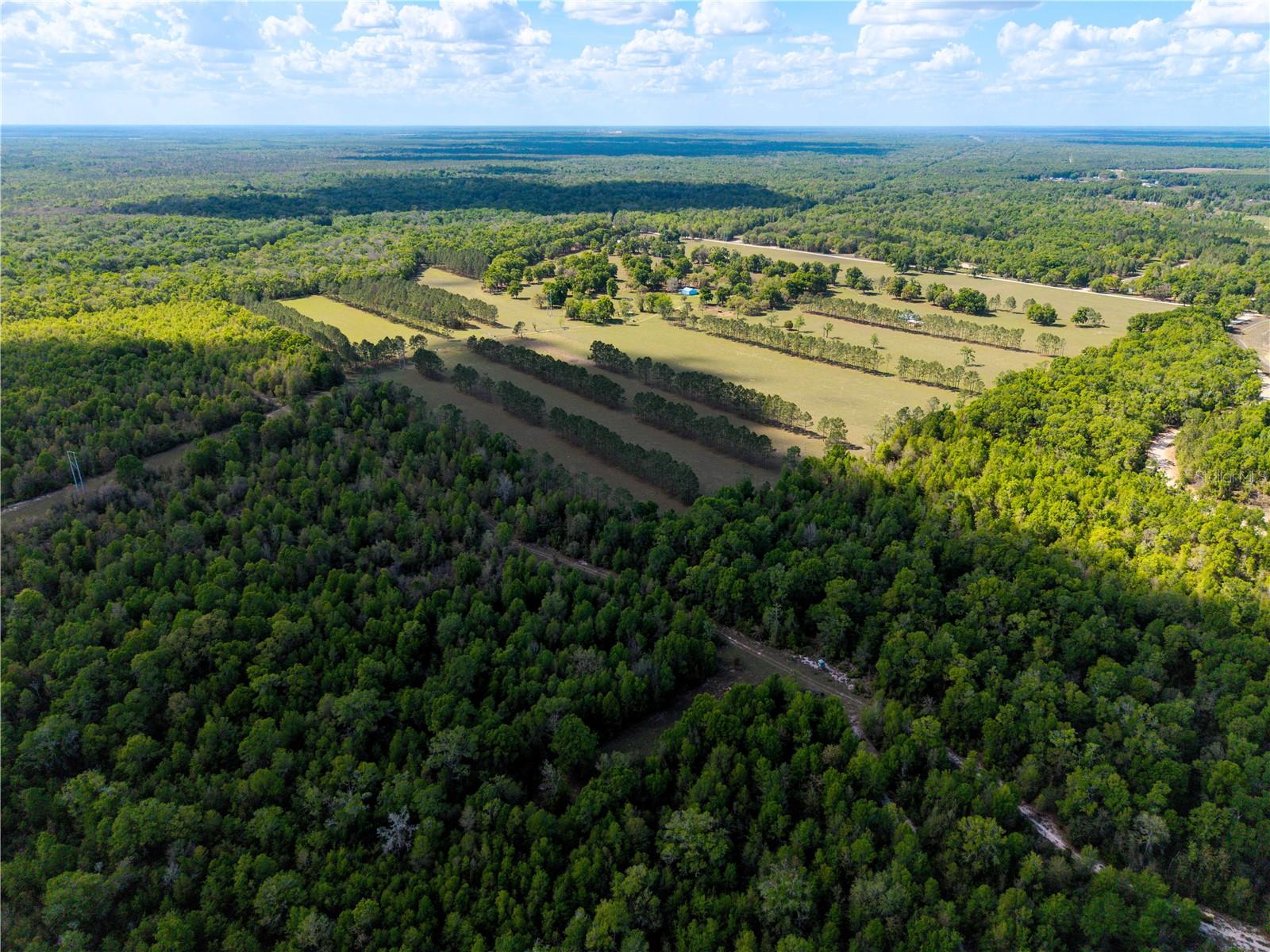 Listing photo id 35 for 4639 Wilson Springs Road