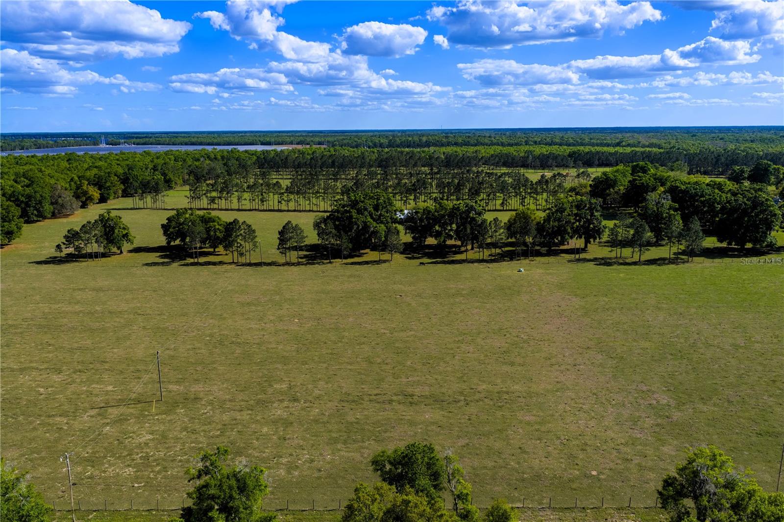 Listing photo id 37 for 4639 Wilson Springs Road