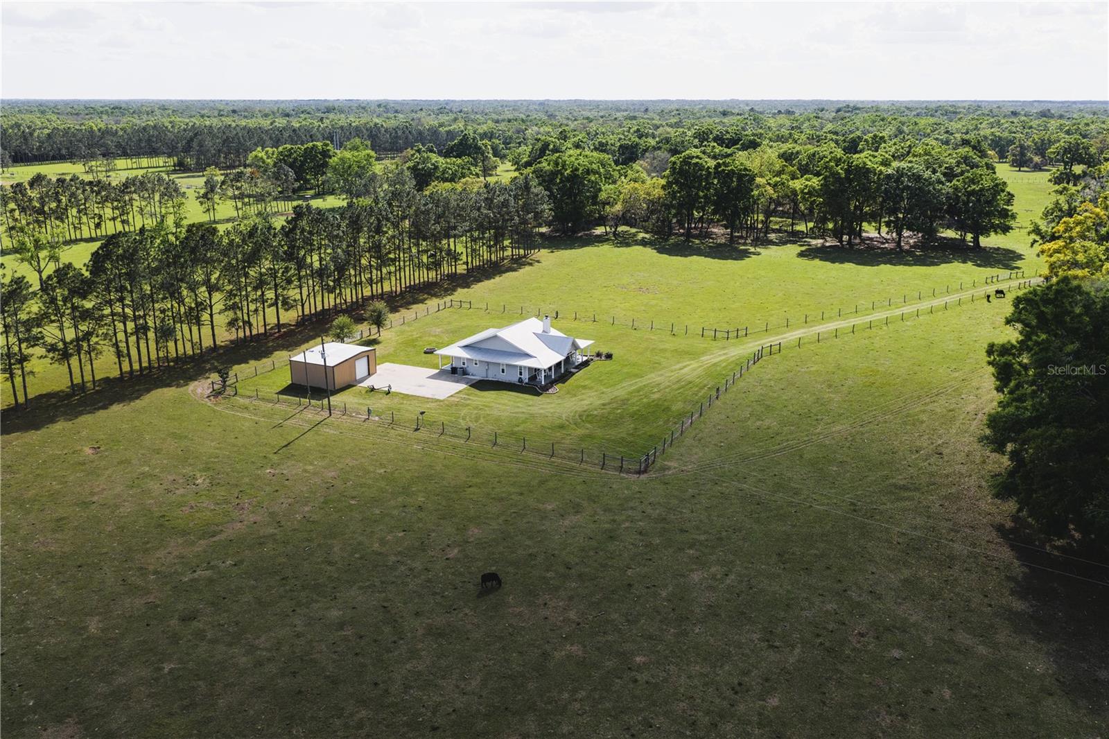 Listing photo id 38 for 4639 Wilson Springs Road