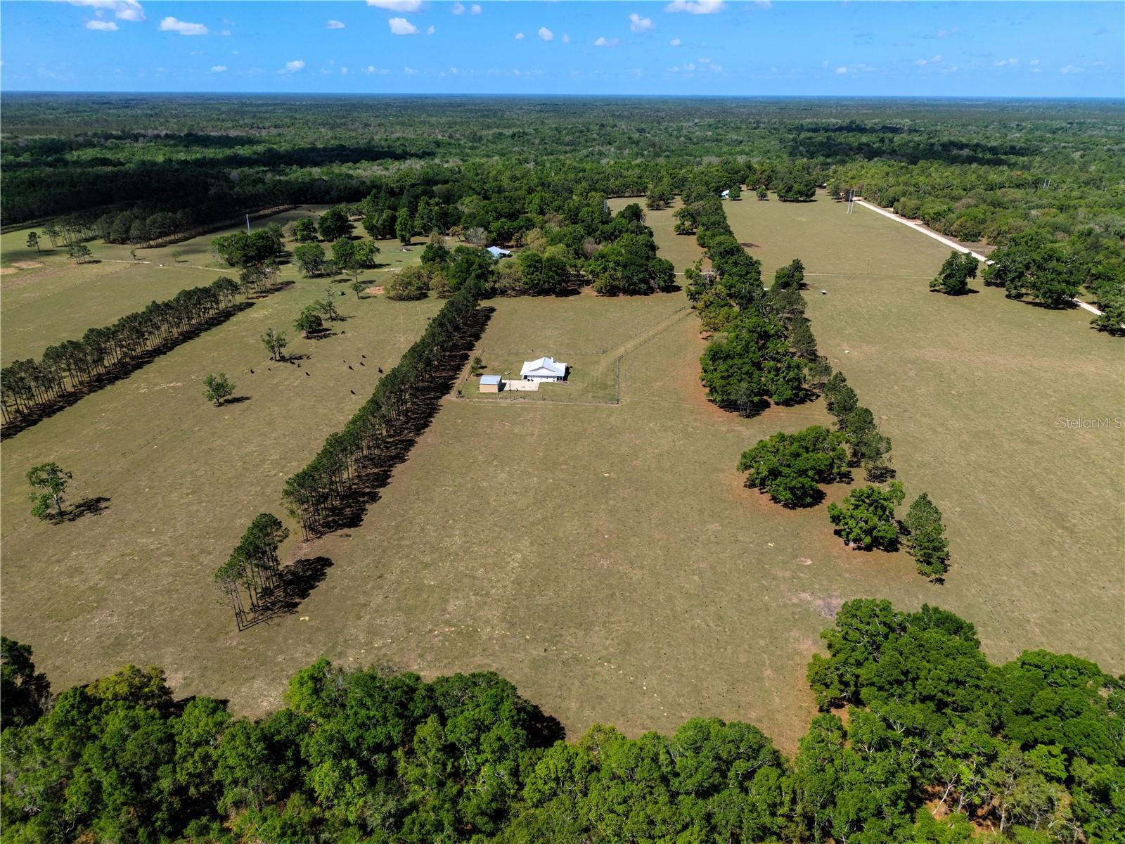 Listing photo id 39 for 4639 Wilson Springs Road