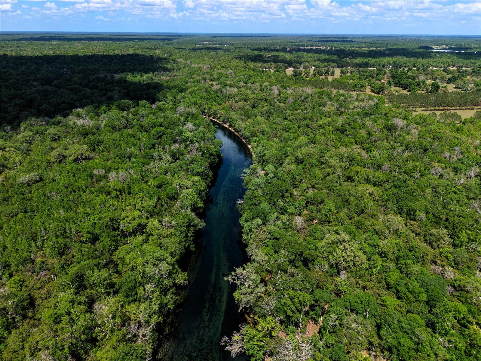 Listing photo id 41 for 4639 Wilson Springs Road