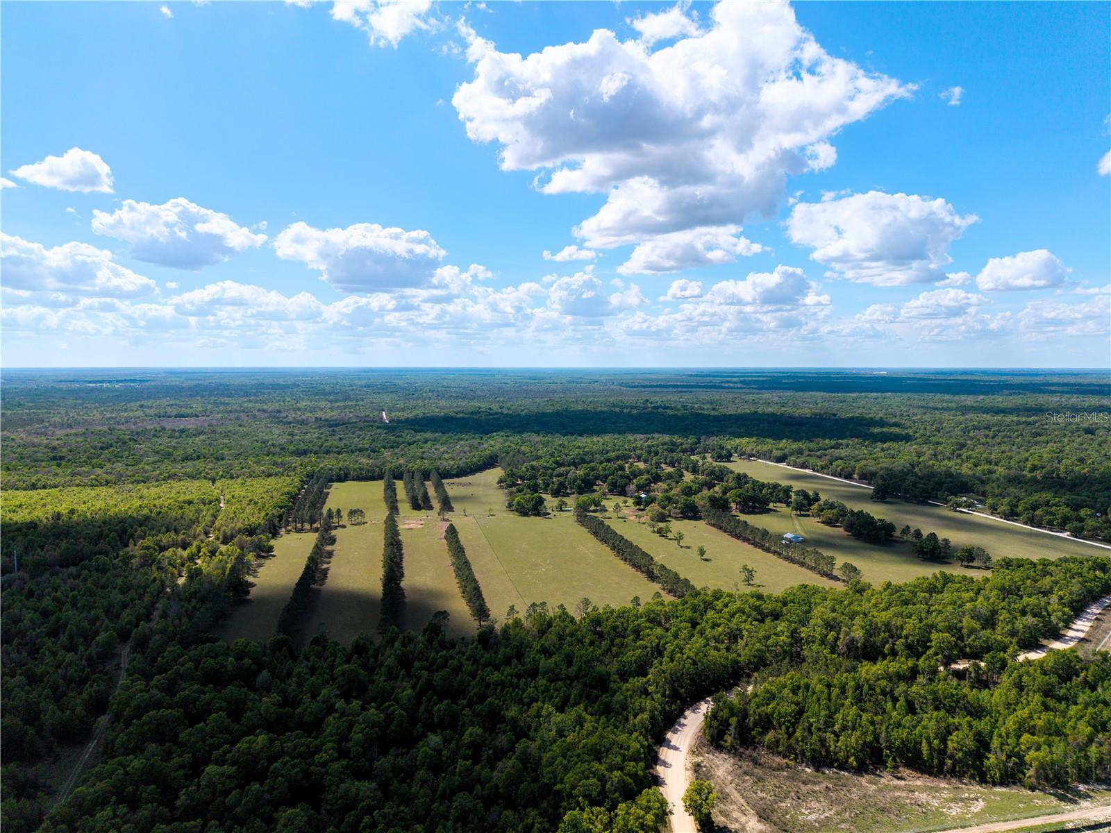 Listing photo id 42 for 4639 Wilson Springs Road