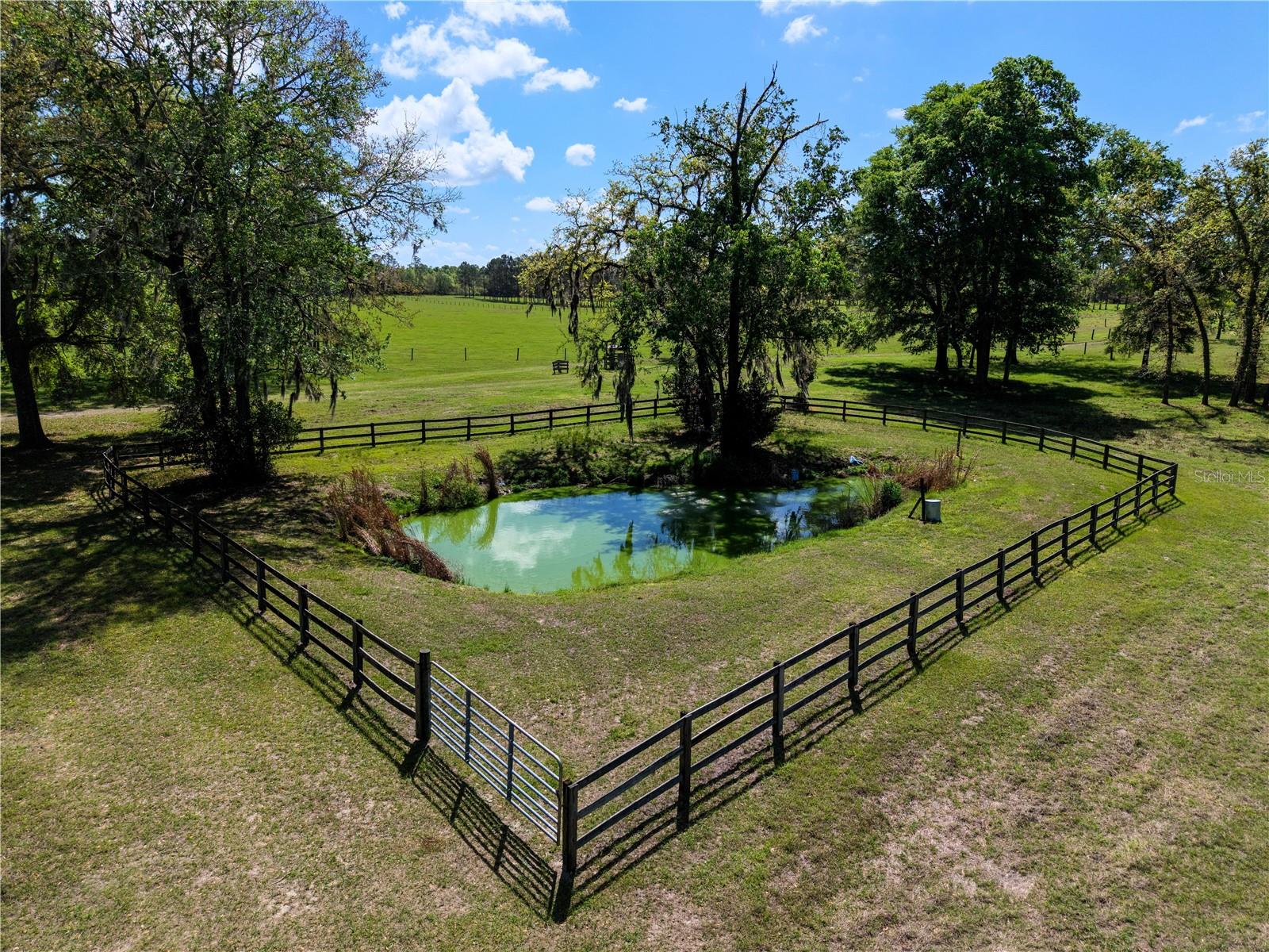 Listing photo id 44 for 4639 Wilson Springs Road