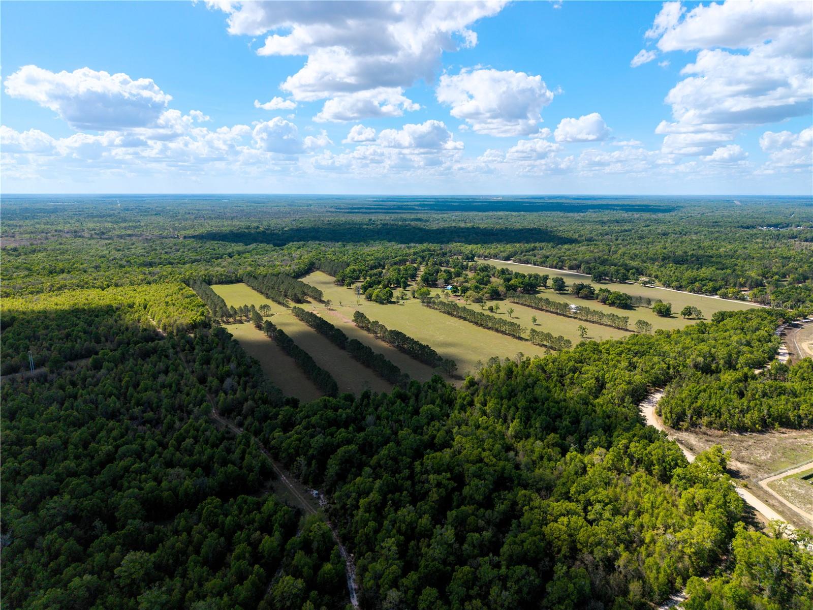 Listing photo id 47 for 4639 Wilson Springs Road