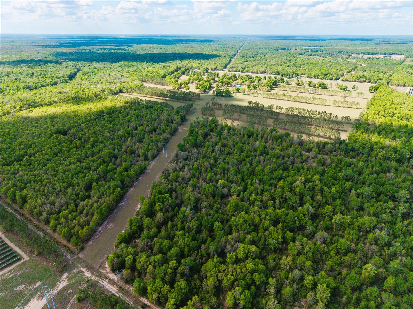 Listing photo id 48 for 4639 Wilson Springs Road