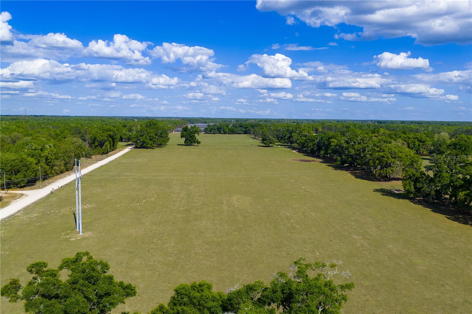 Listing photo id 49 for 4639 Wilson Springs Road