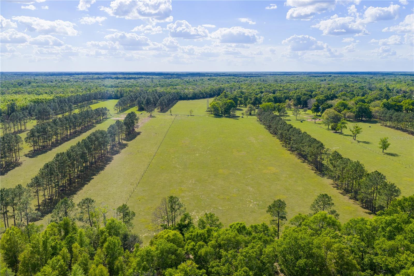 Listing photo id 50 for 4639 Wilson Springs Road