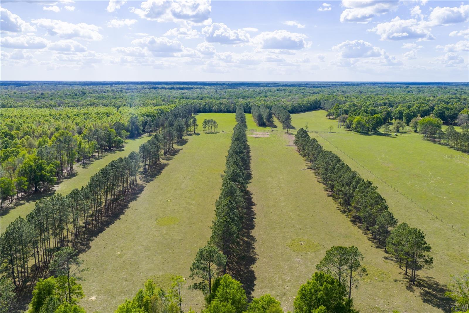 Listing photo id 51 for 4639 Wilson Springs Road