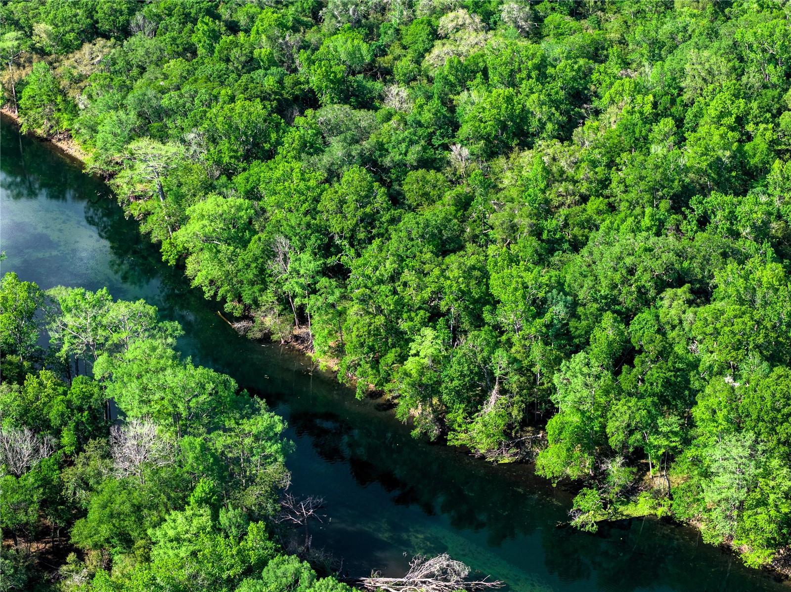 Listing photo id 52 for 4639 Wilson Springs Road