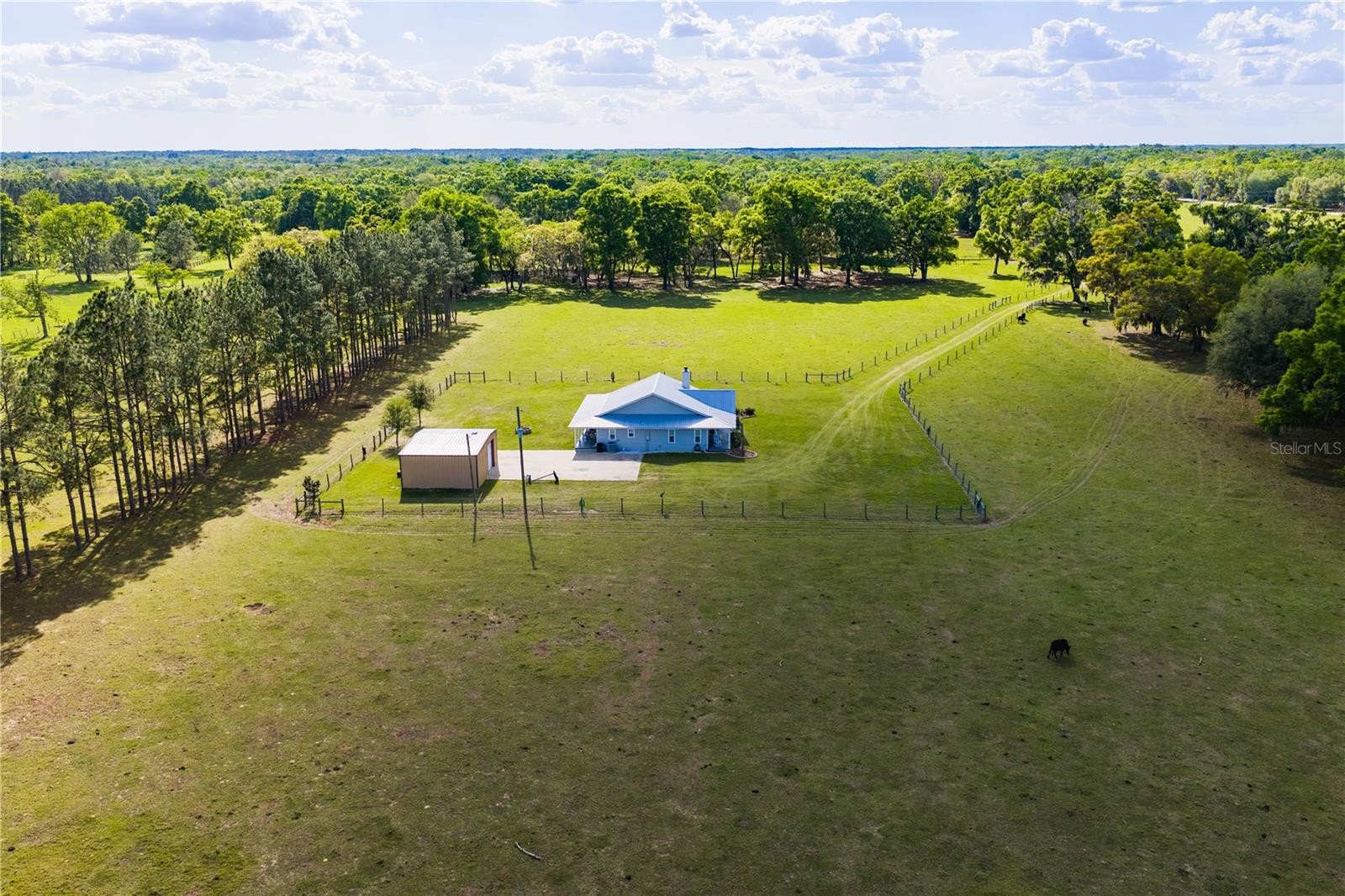Listing photo id 54 for 4639 Wilson Springs Road