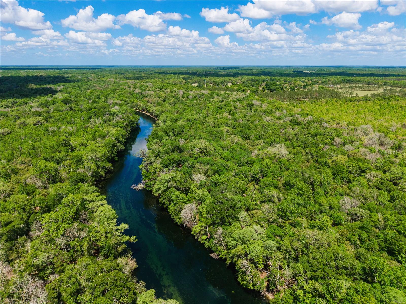 Listing photo id 4 for 4639 Wilson Springs Road