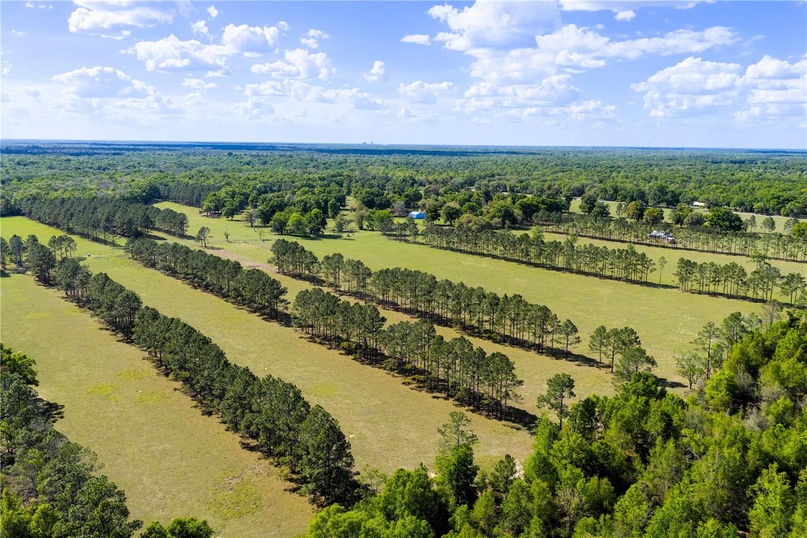 Listing photo id 5 for 4639 Wilson Springs Road