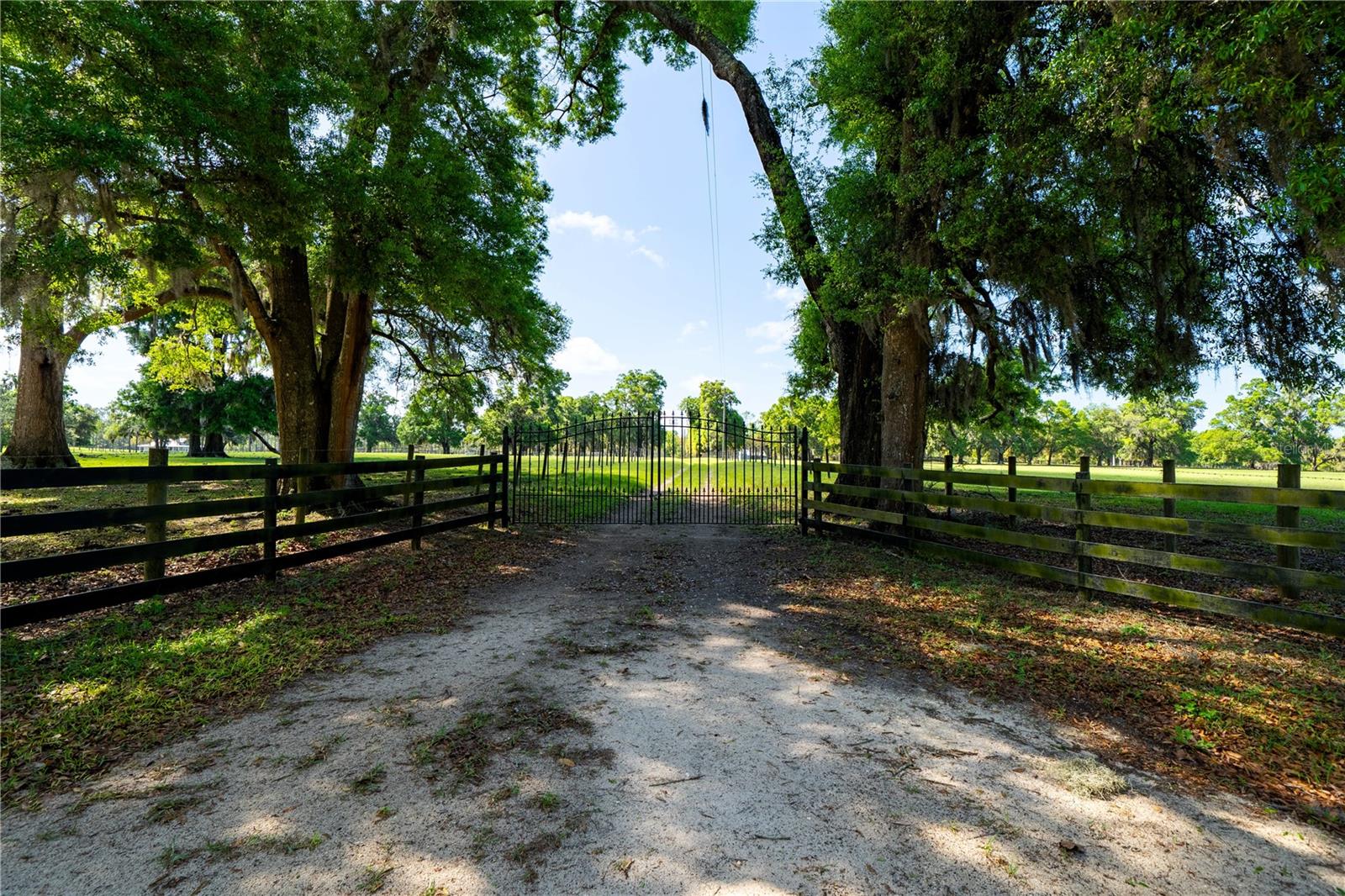 Listing photo id 6 for 4639 Wilson Springs Road