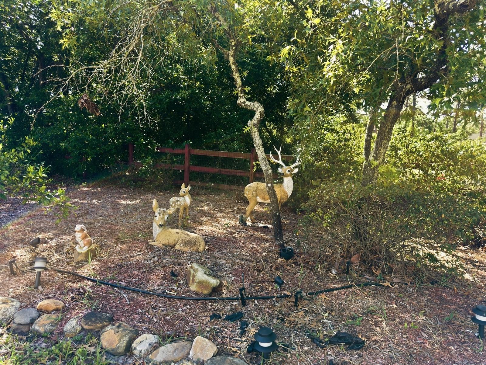 Image 51 of 59 For 13302 Mitten Lane