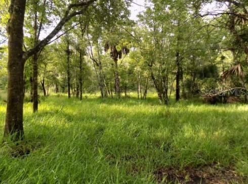 Details for 5001 Whippoorwill Drive, HOLIDAY, FL 34690