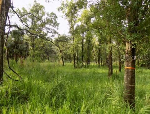 Image 3 of 5 For 5001 Whippoorwill Drive