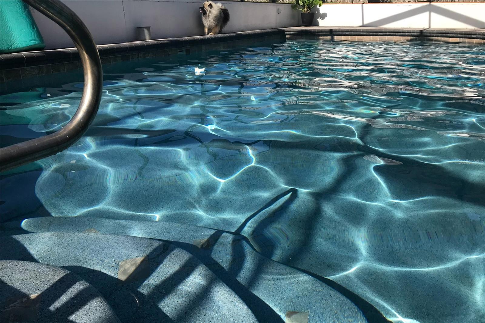 Image 76 of 91 For 1497 Overland Drive