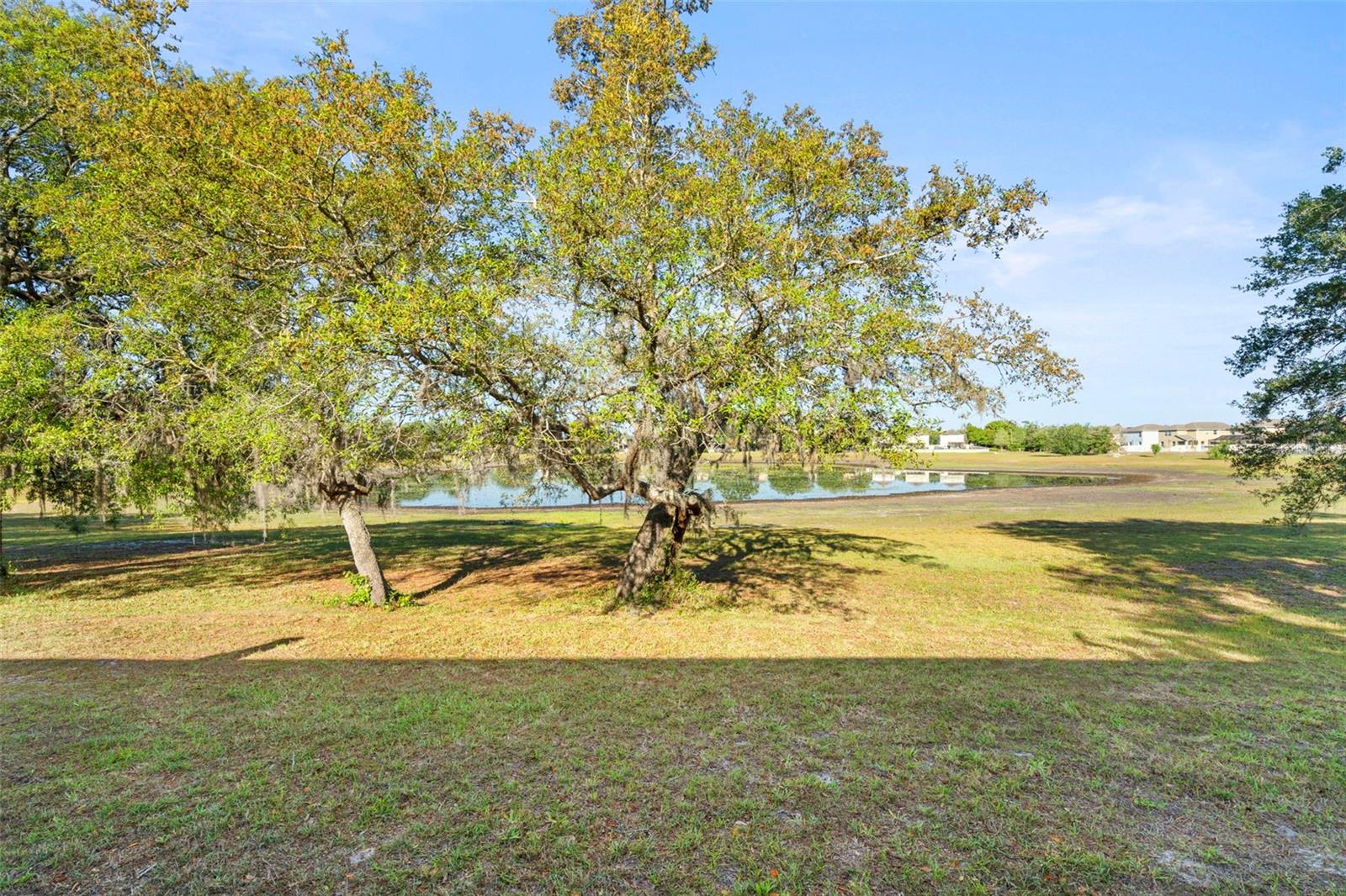 Image 20 of 55 For 13723 Eastfork Lane