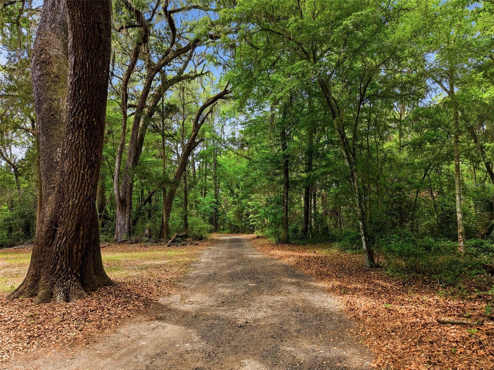 Image 98 of 100 For 16650 53rd Lane