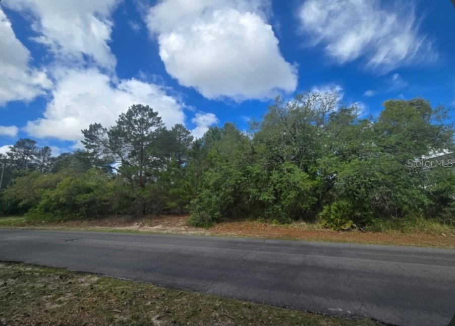 Details for 4113 Portillo Road, Spring Hill, FL 34608