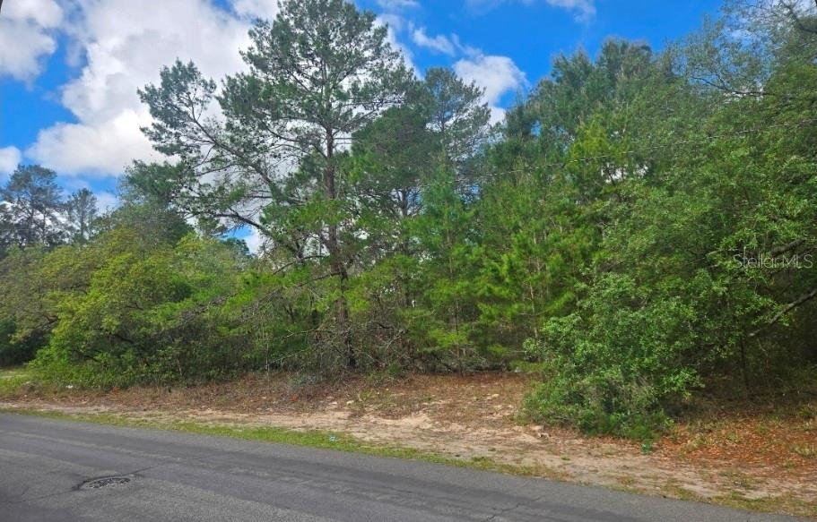 Image 3 of 3 For 4113 Portillo Road