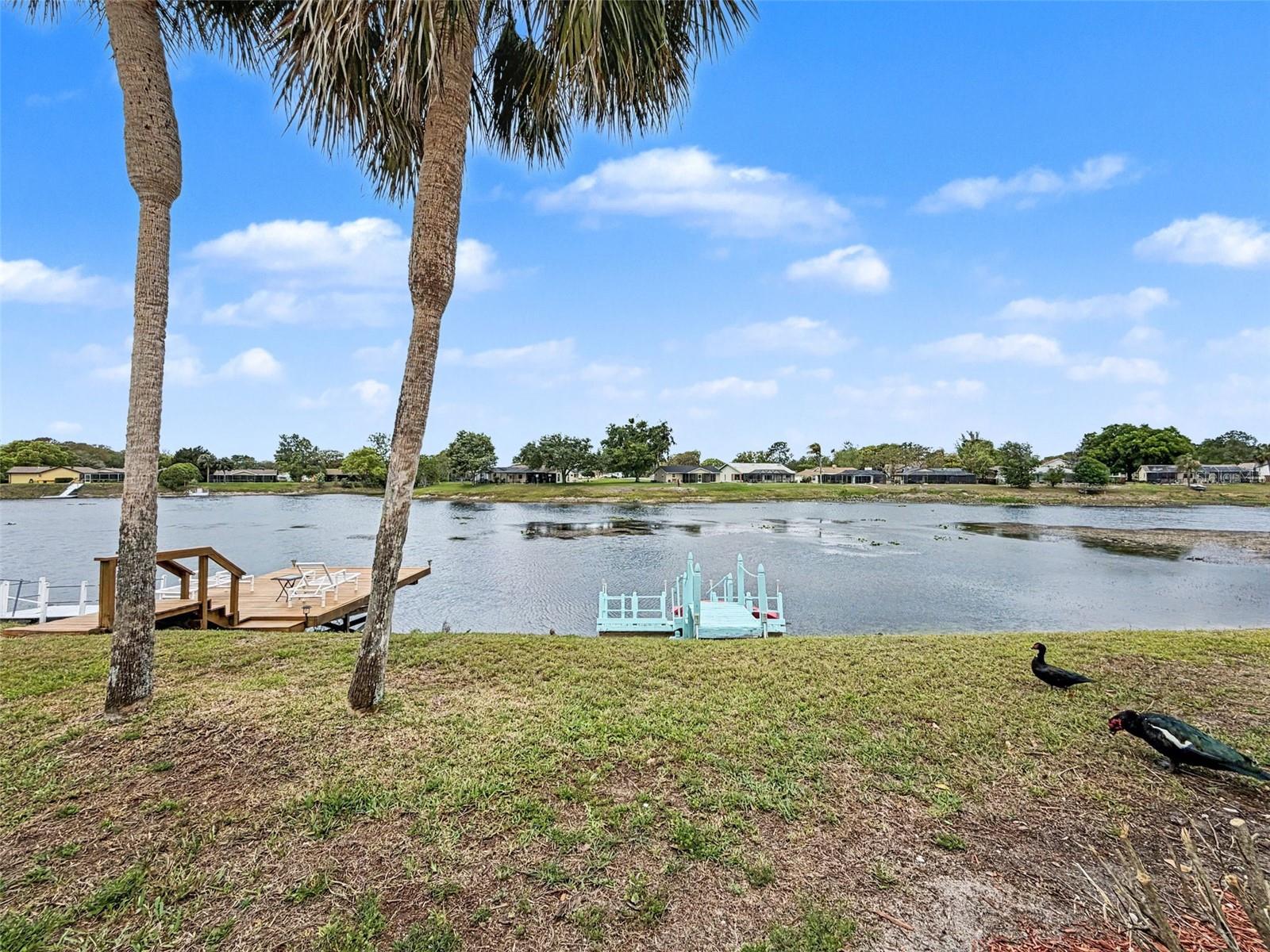 Image 68 of 91 For 9127 Lingrove Road