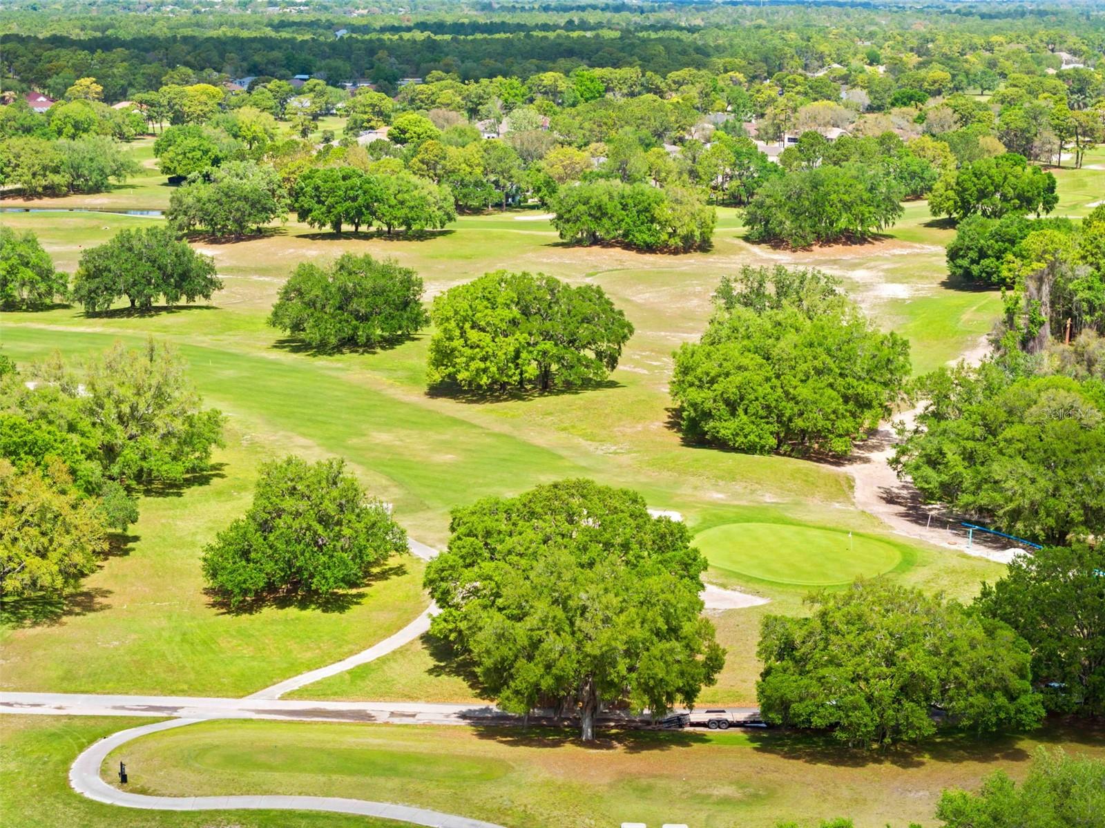 Image 27 of 32 For 15028 Middle Fairway Drive