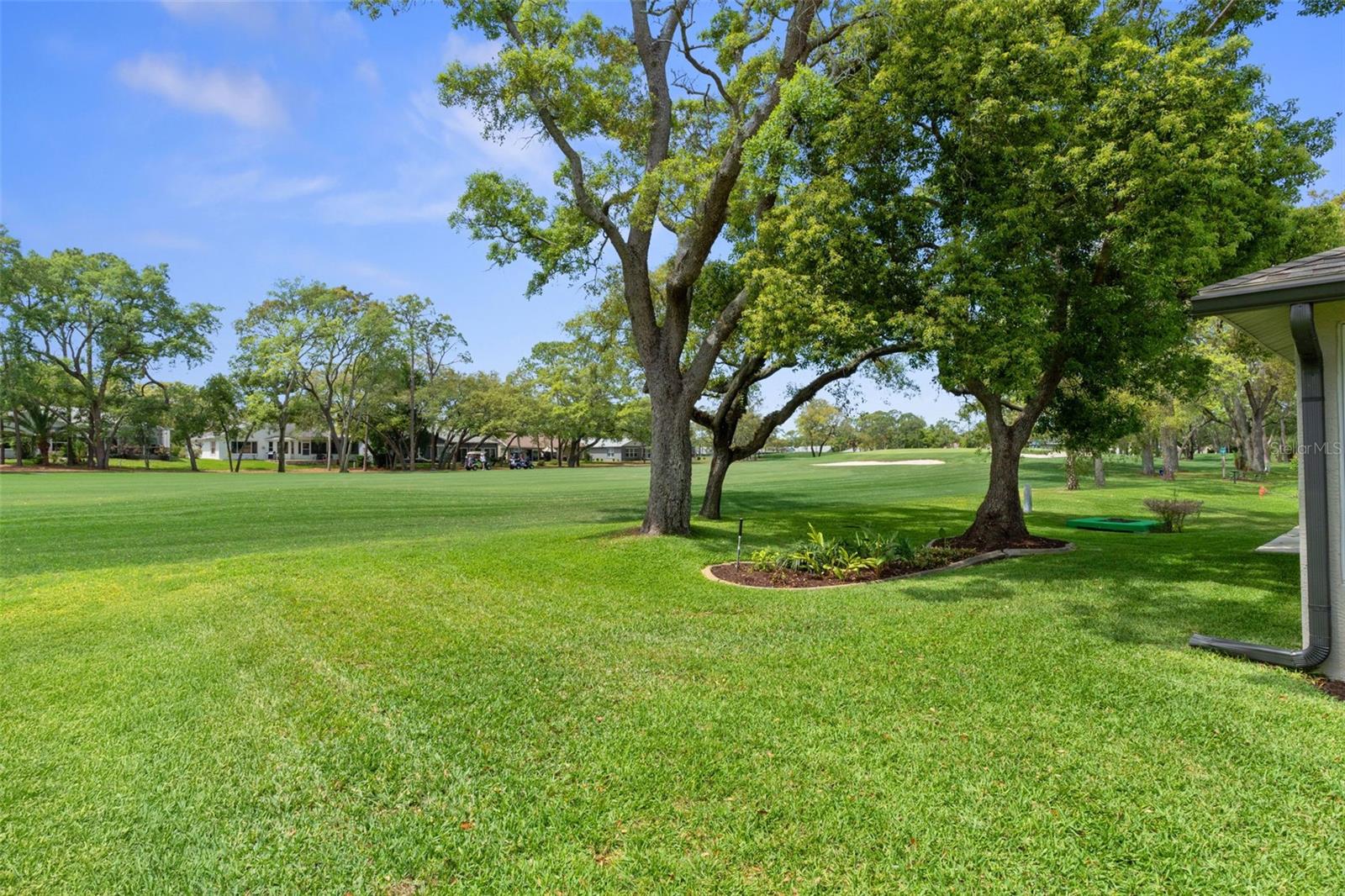 Listing photo id 49 for 6357 Pine Meadows Drive