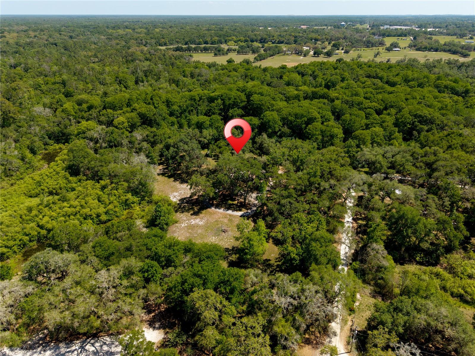 Image 13 of 57 For 3166 Turtle Street