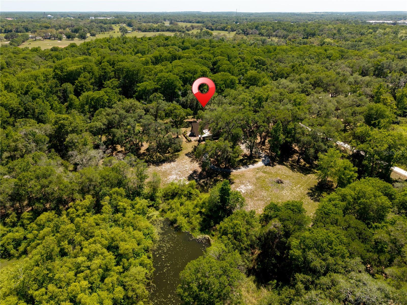 Image 14 of 57 For 3166 Turtle Street