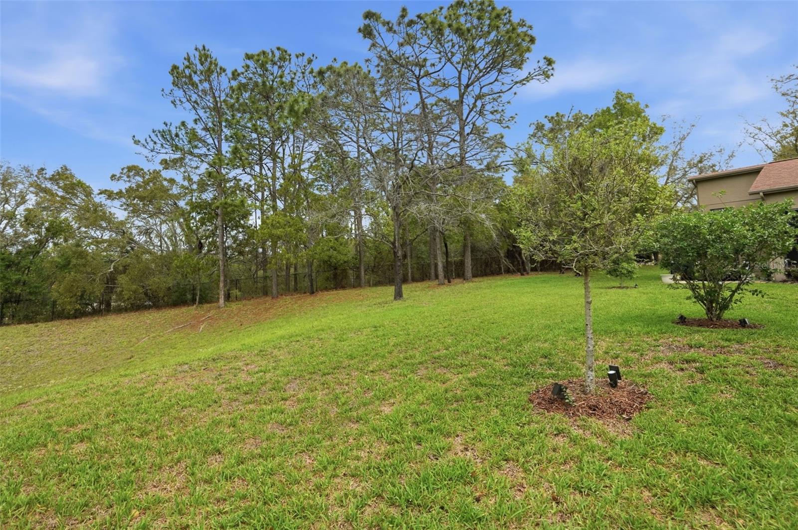 Image 36 of 37 For 11437 Deercroft Court