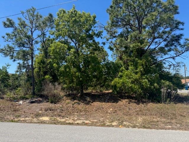 Details for 11364 Patch Street, SPRING HILL, FL 34609