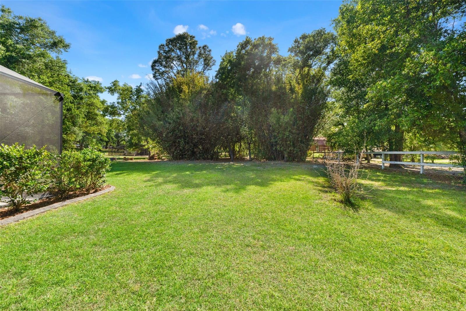 Image 38 of 45 For 2111 Maximilian Avenue