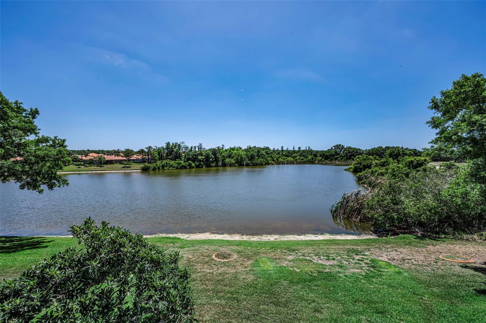 Image 46 of 99 For 10706 Ruffino Court