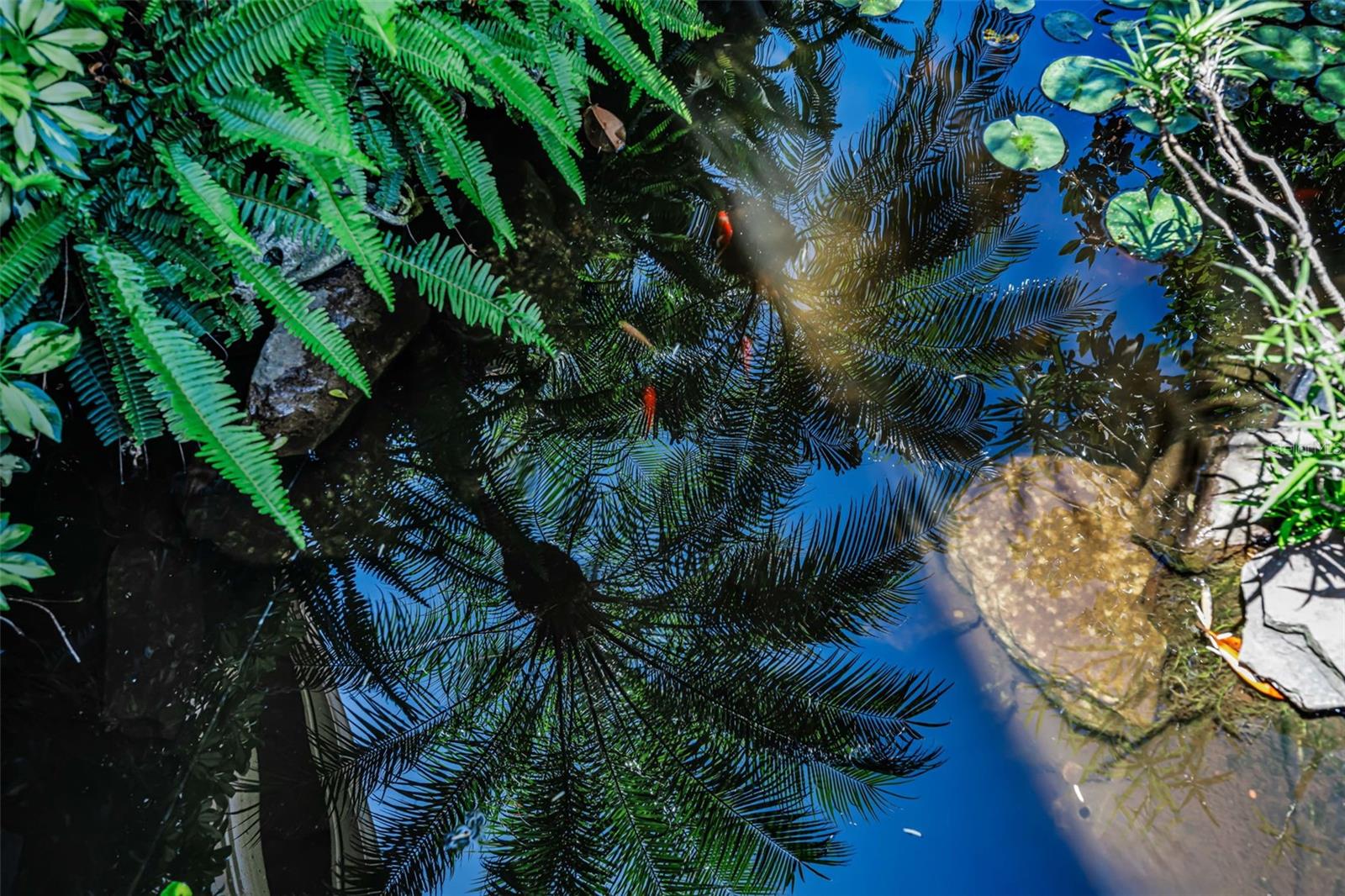 Image 72 of 99 For 10706 Ruffino Court