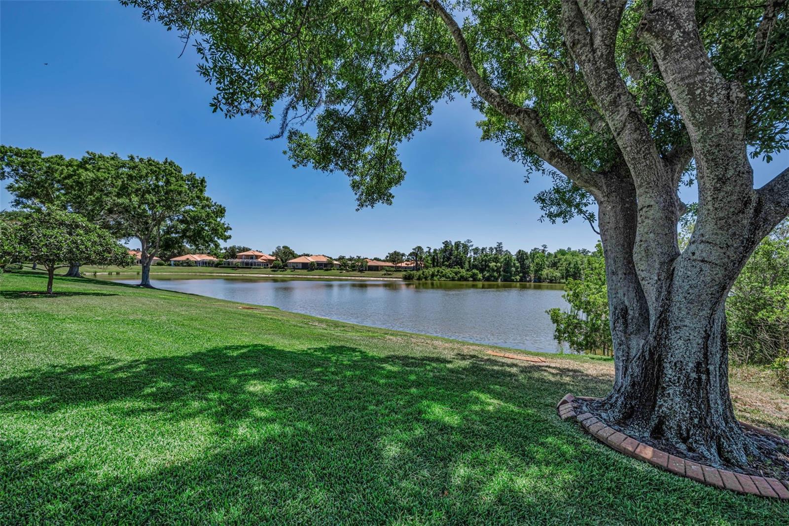 Image 74 of 99 For 10706 Ruffino Court