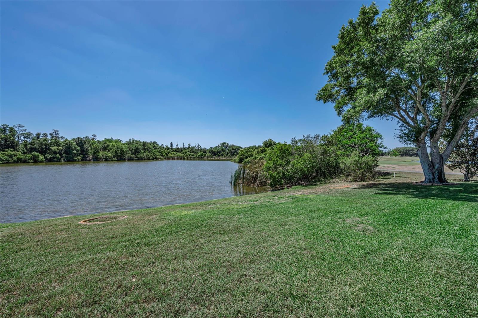 Image 80 of 99 For 10706 Ruffino Court