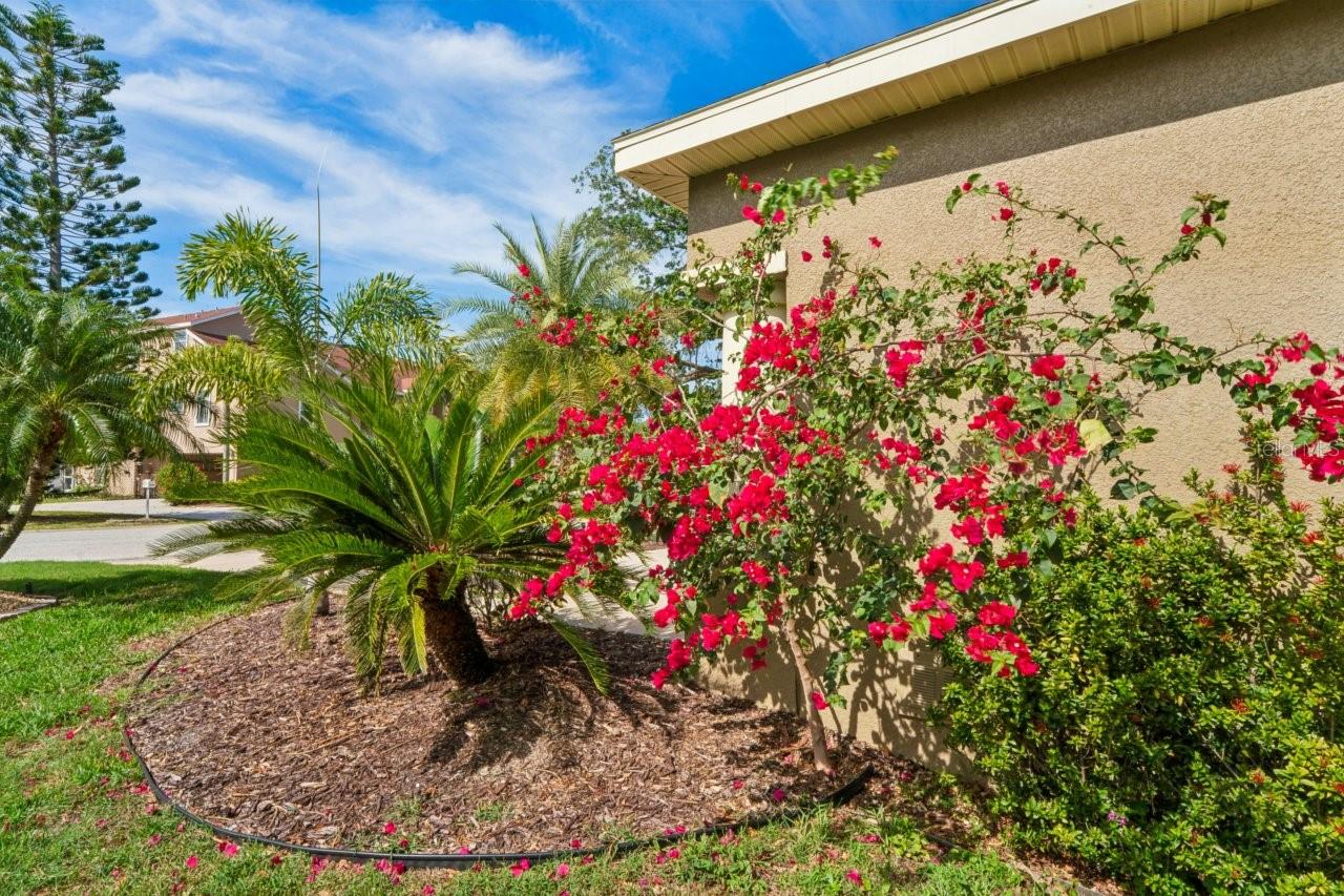 Image 56 of 91 For 7340 Brightwaters Court