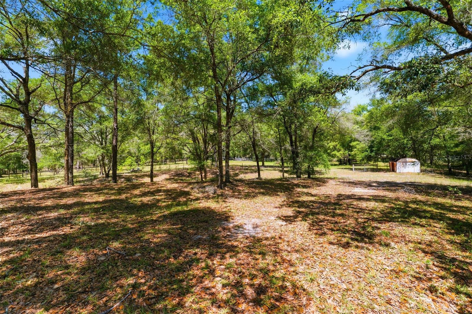 Image 38 of 55 For 26331 Blackjack Street