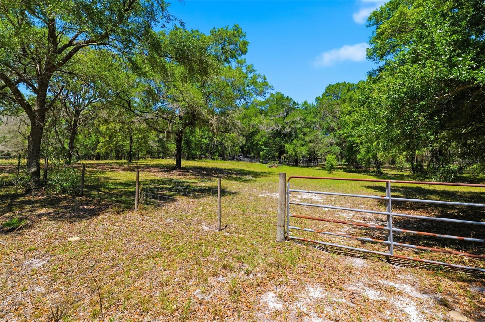 Image 40 of 55 For 26331 Blackjack Street