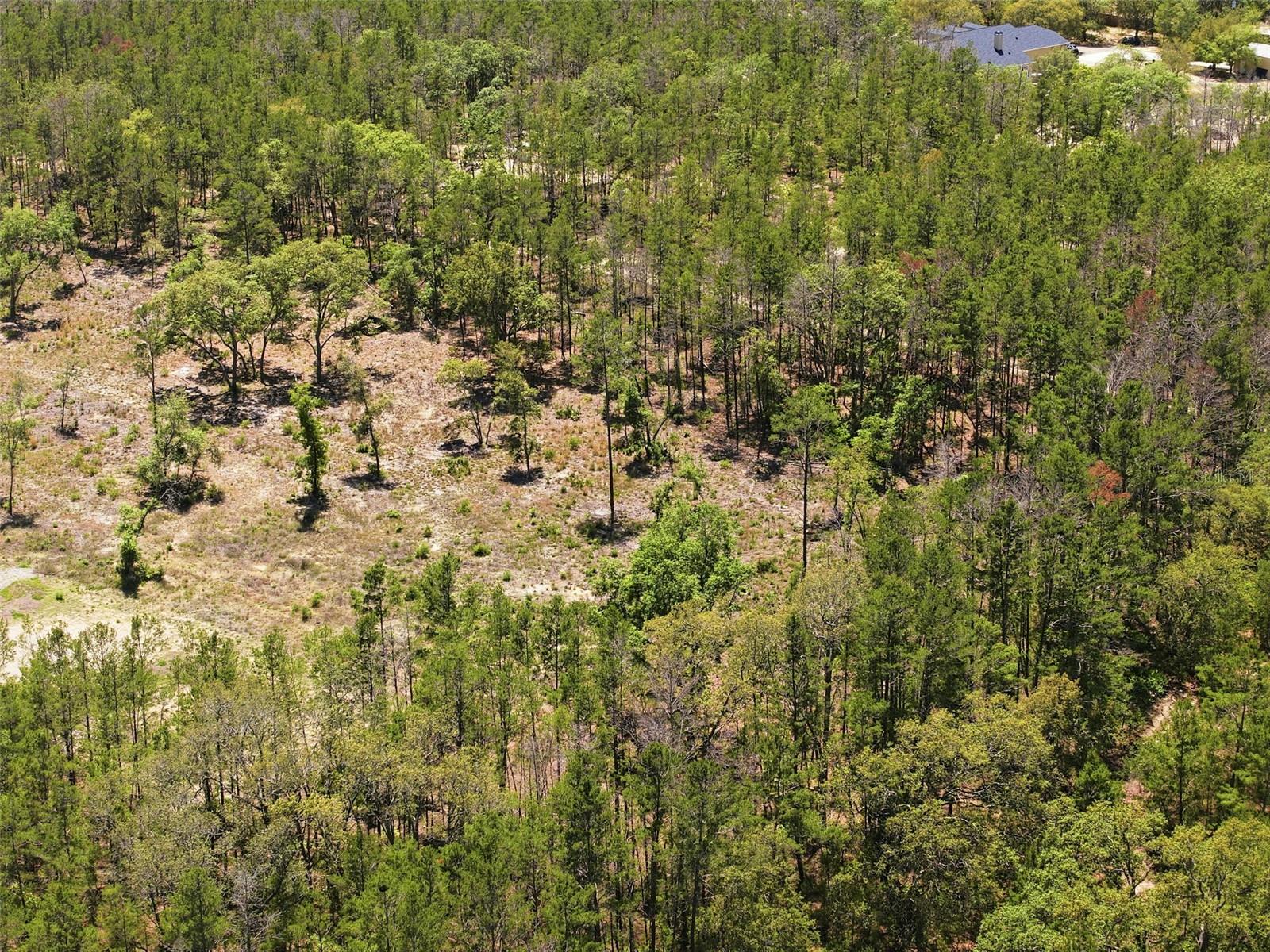Image 16 of 20 For 13331 Haven (lot 4) Trail