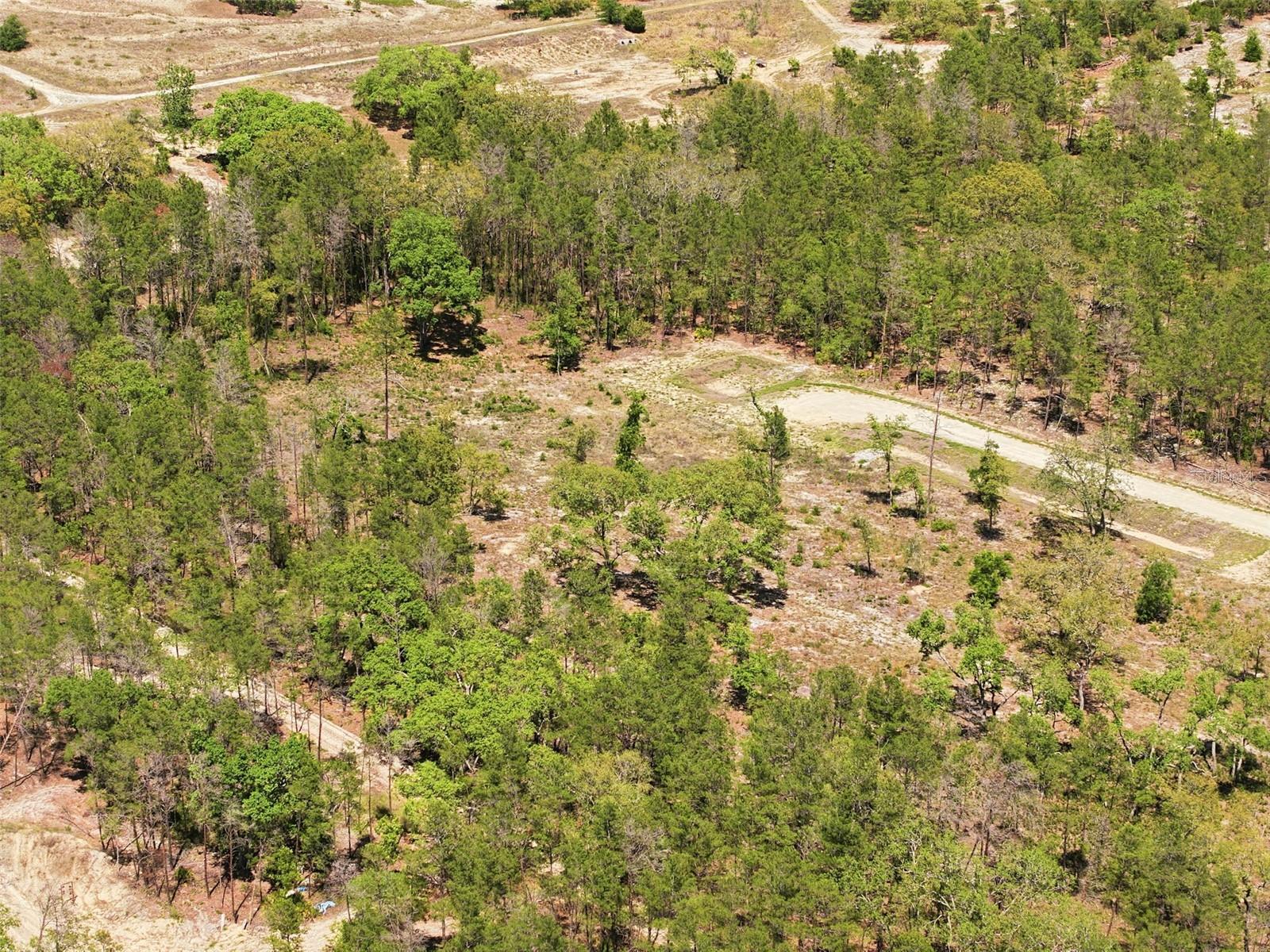 Image 17 of 20 For 13331 Haven (lot 4) Trail
