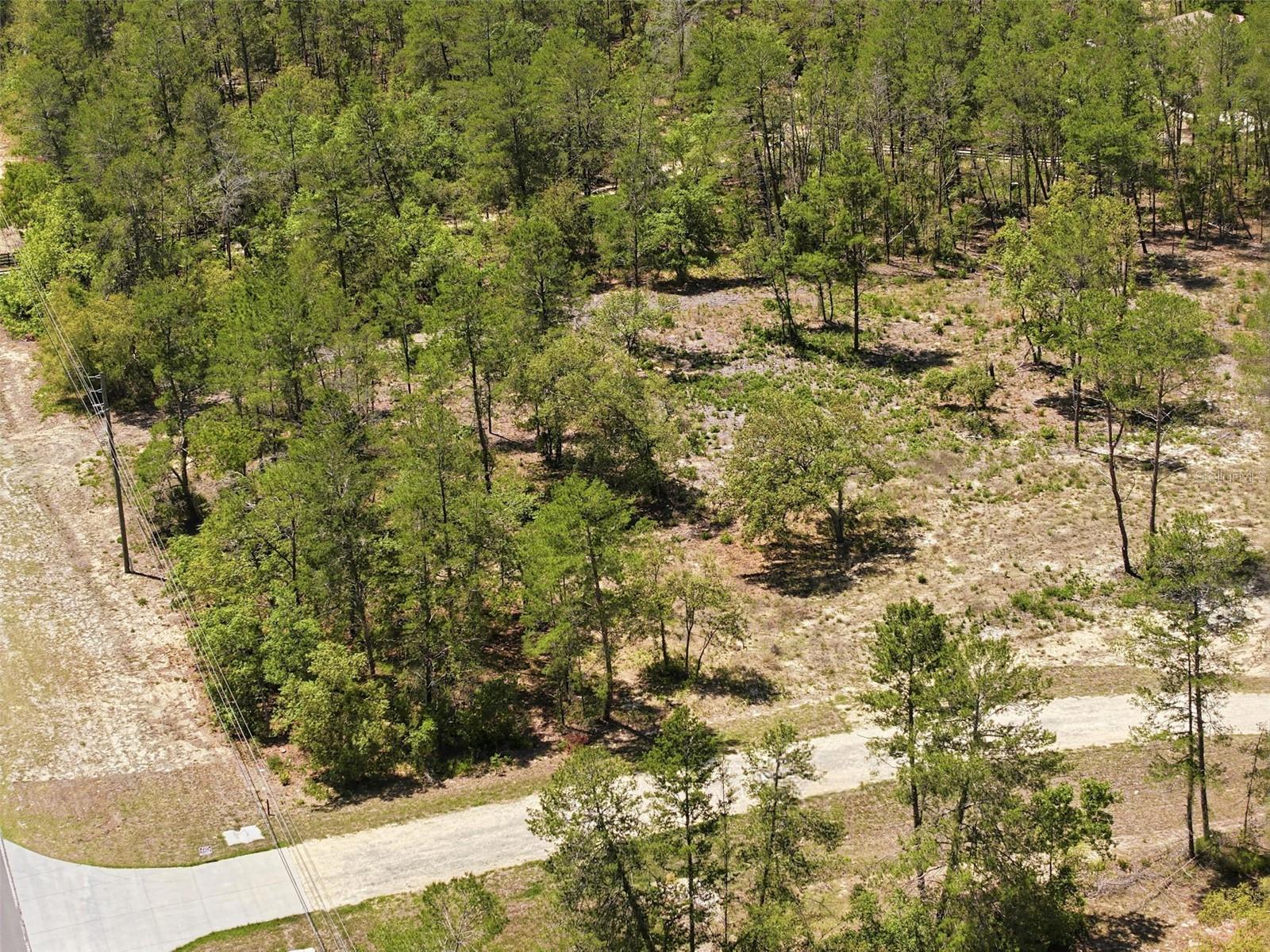 Image 14 of 22 For 13183 Haven (lot 1) Trail