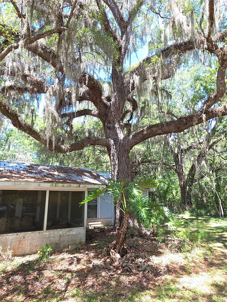 Image 25 of 29 For 13499 Old Crystal River Road