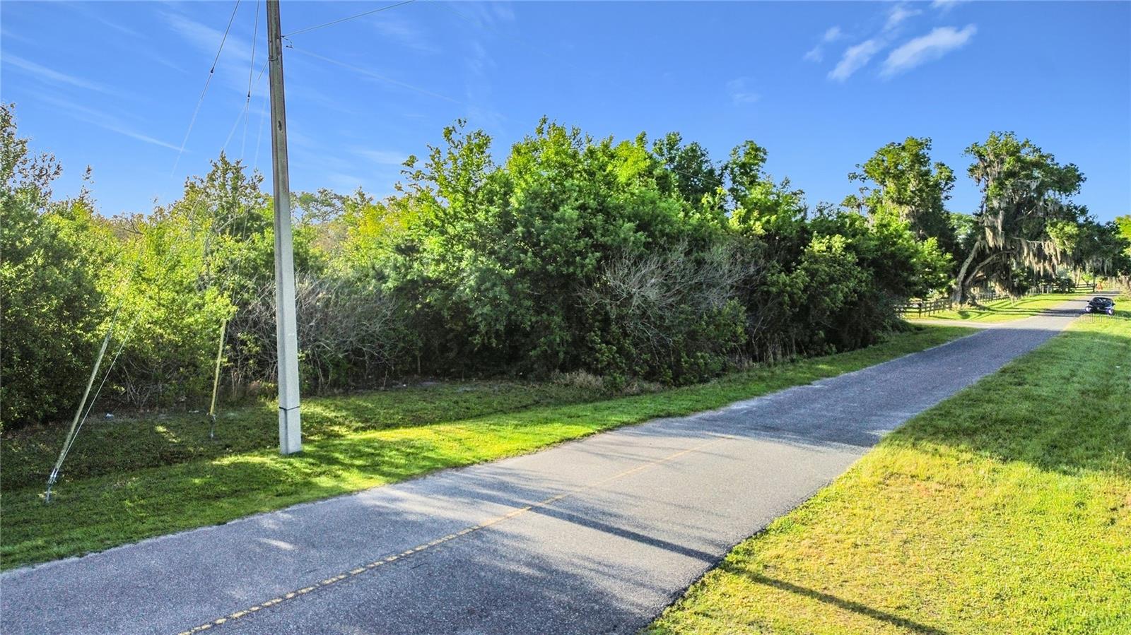 Image 10 of 16 For 0000 Old Hickory Tree Road