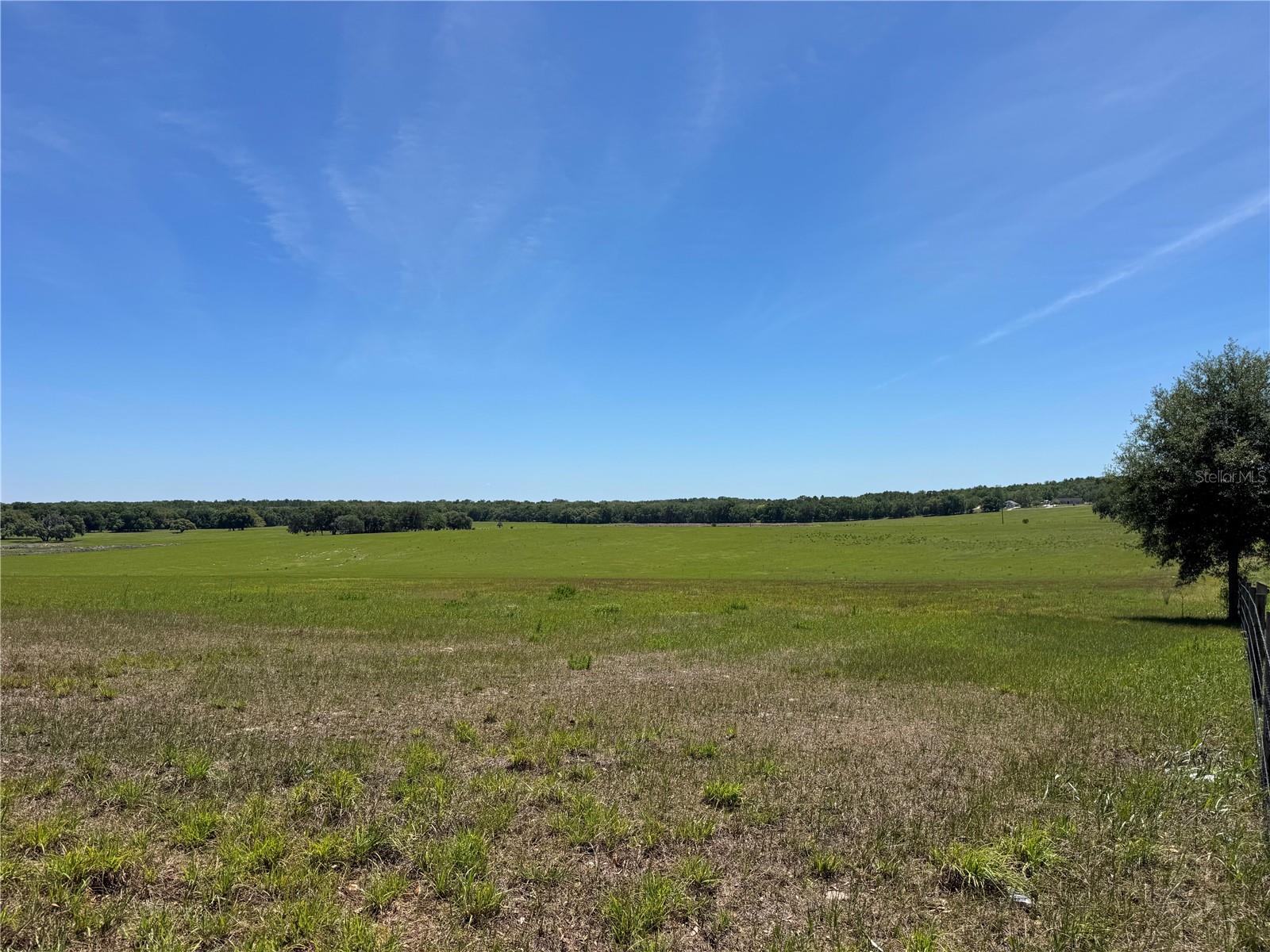 Image 10 of 11 For 4401 Griffin View Drive