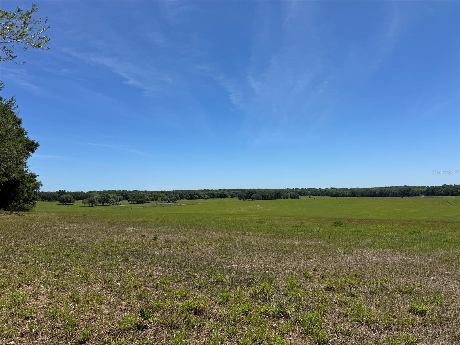 Image 11 of 11 For 4401 Griffin View Drive